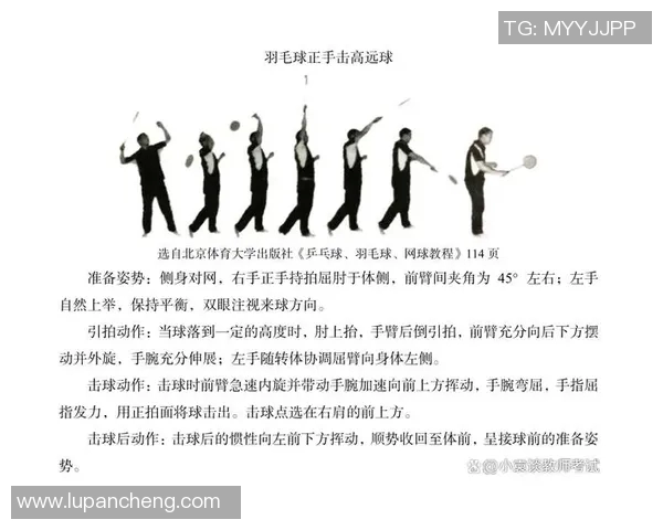 羽毛球顶级赛事选手体能训练科学化研究与实证分析